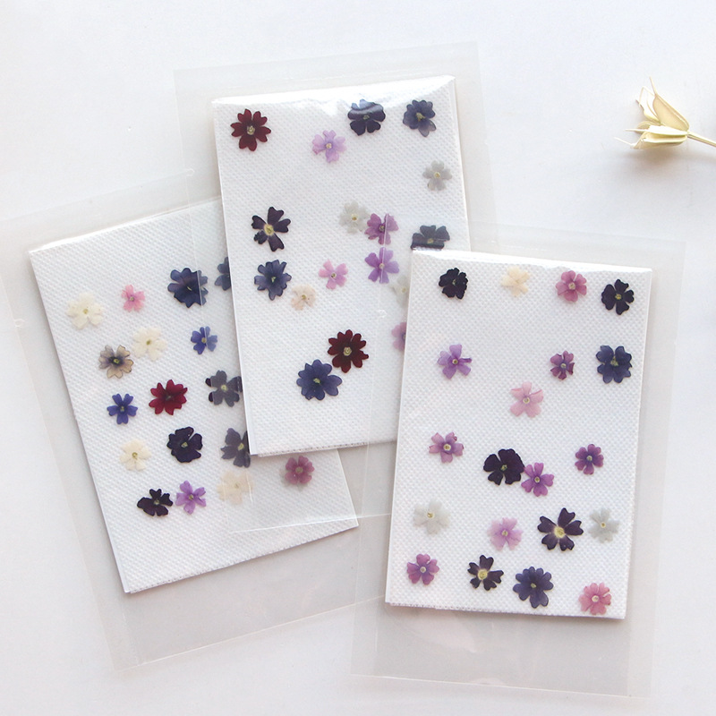 Photo Frame Baby - 40pcs/lot,Mini Beauty Cherry pressed flower petals,Genuine