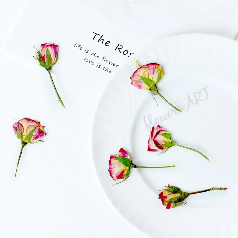 Photo Frame Baby - Pressed Rose Bud Flower Petals Dry