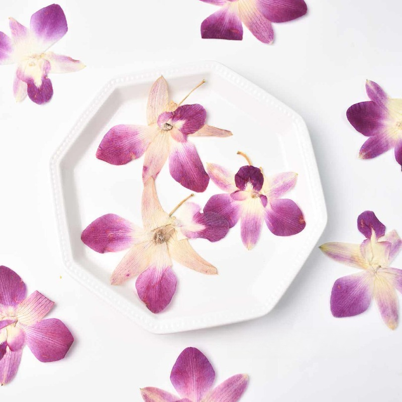 Photo Frame Baby - 4pcs,Real Pressed Butterfly Orchid Flowers DIY