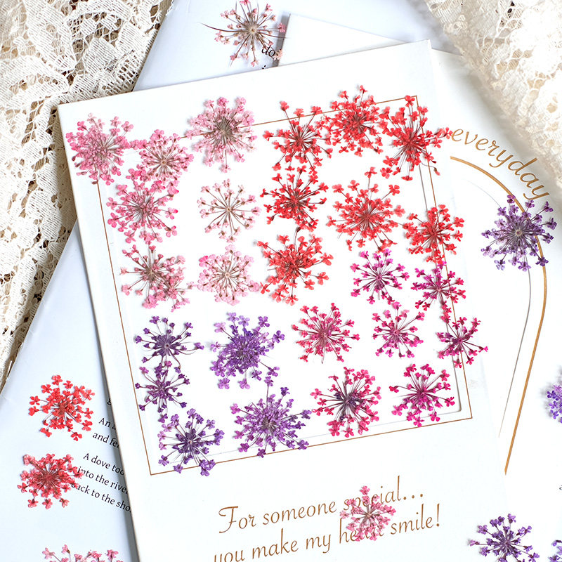 Photo Frame Baby - 24pcs, 2-2.5cm, Nature Dyed Mini Lace
