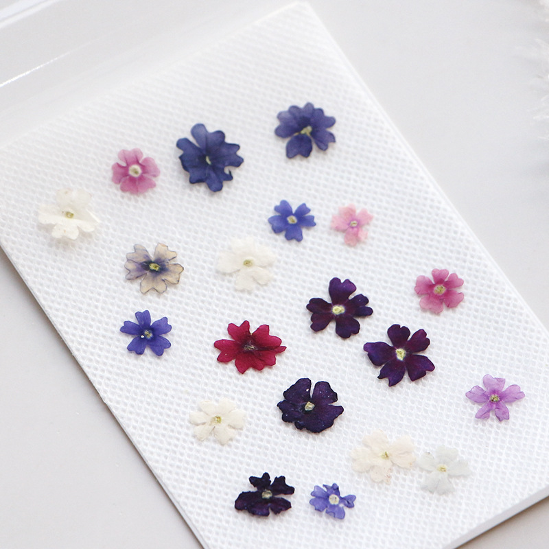 40pcs/lot,Mini Beauty Cherry p - Photo Frame Baby ulasan dan harga