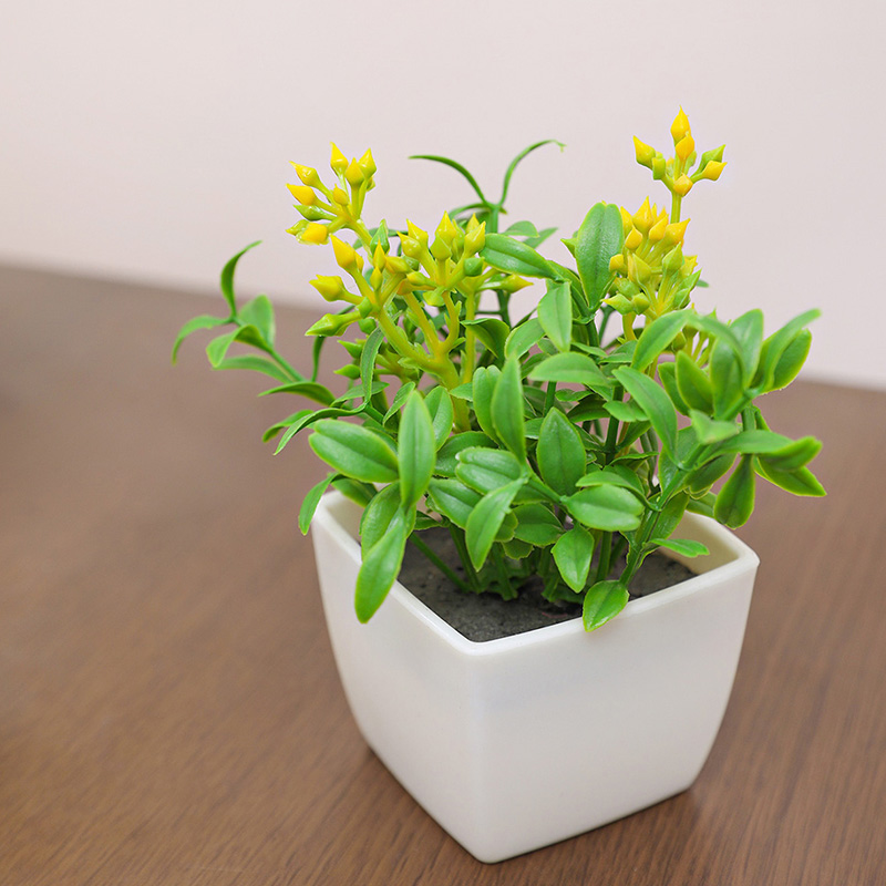 Artificial flower small potted - Baby Bookshelf Small ulasan dan harga