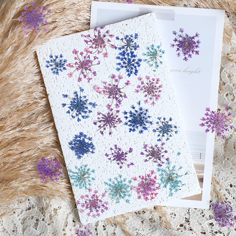 24pcs, 2-2.5cm, Nature Dyed Mi - Photo Frame Baby ulasan dan harga